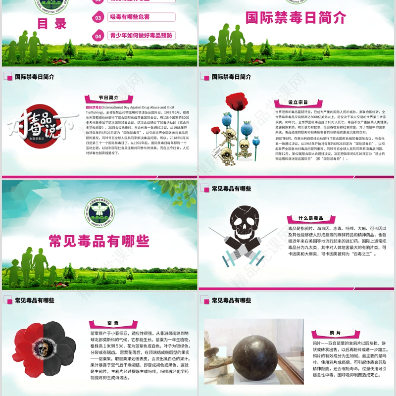 原创2019国际禁毒日宣传介绍主题班会ppt-版权可商用
