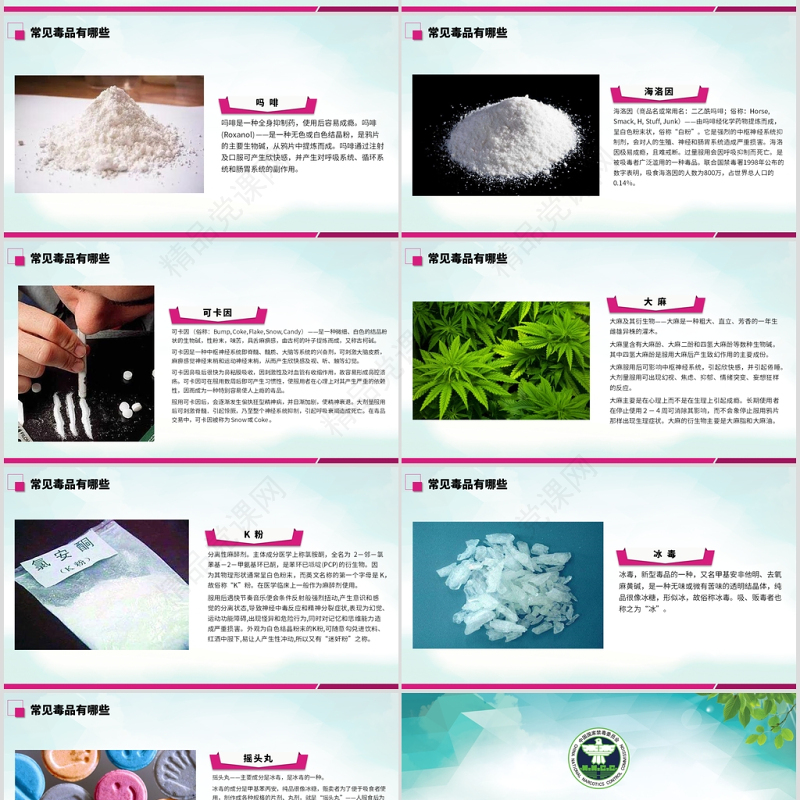 原创2019国际禁毒日宣传介绍主题班会ppt-版权可商用