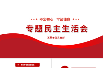 2024社区楼院支部组织生活会ppt