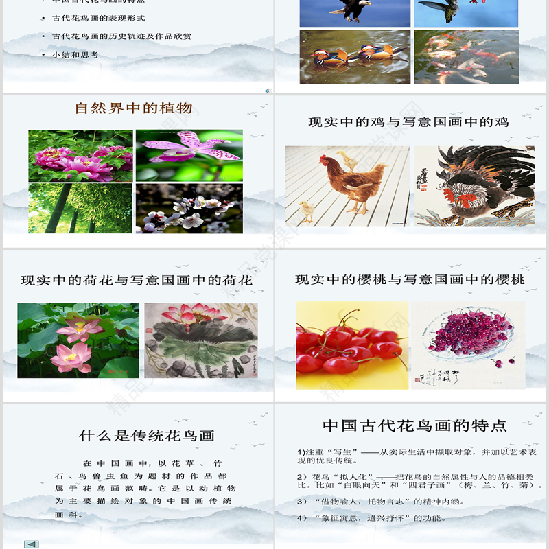 中国写意花鸟画的概述与欣赏ppt