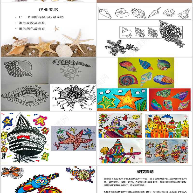 第九课海螺和海星岭南版一年级下册美术ppt