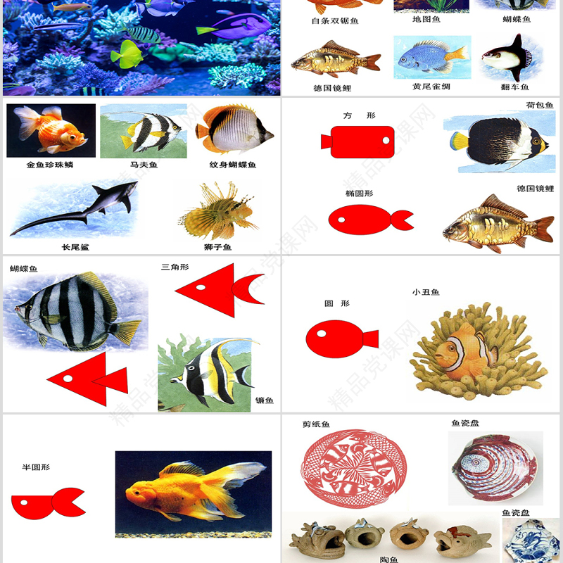 岭南版美术一年级下册7、大鱼和小鱼ppt