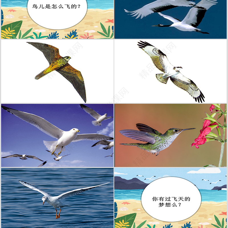 岭南版美术一下第1课漫游飞行世界课件ppt