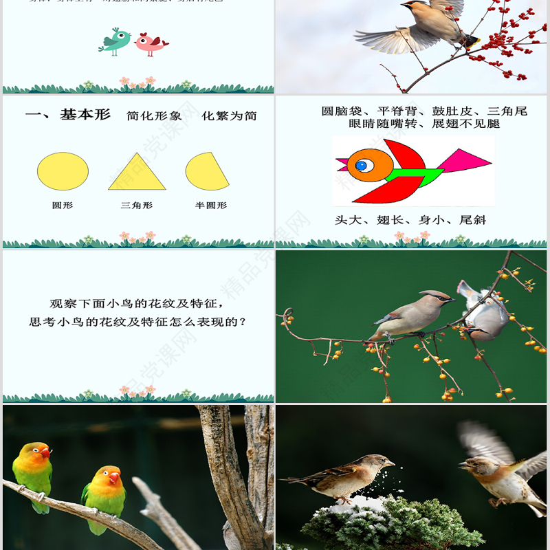 公开课快乐的小鸟-岭南版一年级美术下册ppt