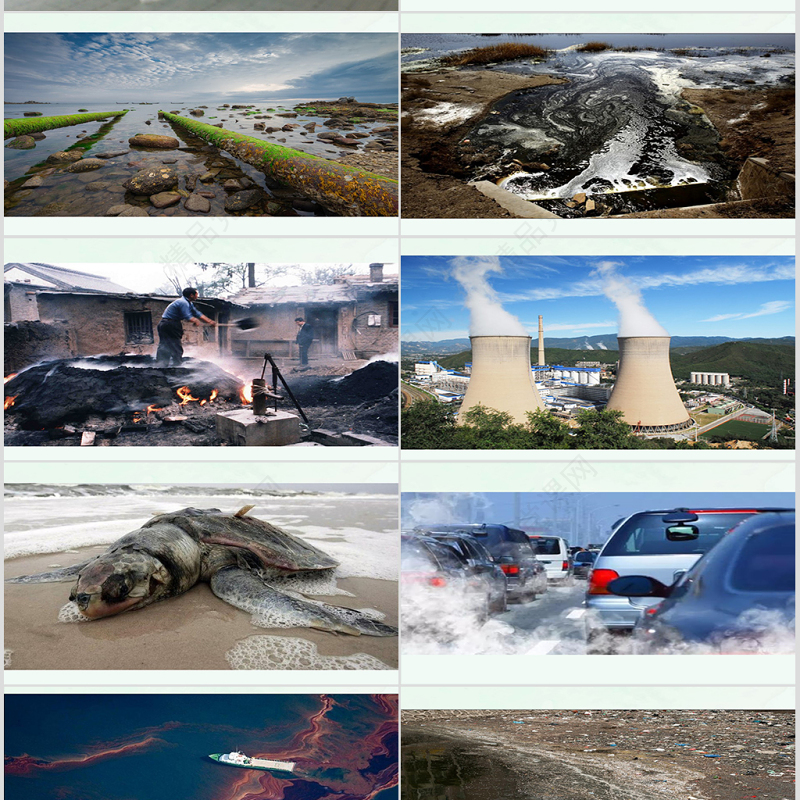 岭南版美术展翅的小鸟ppt