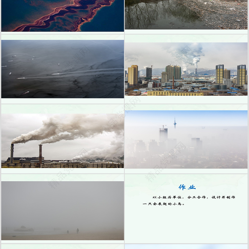 岭南版美术展翅的小鸟ppt