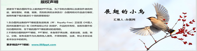岭南版美术展翅的小鸟ppt