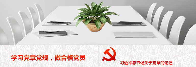年简捷无动画党课学党章党规做合格党员精编带word讲稿