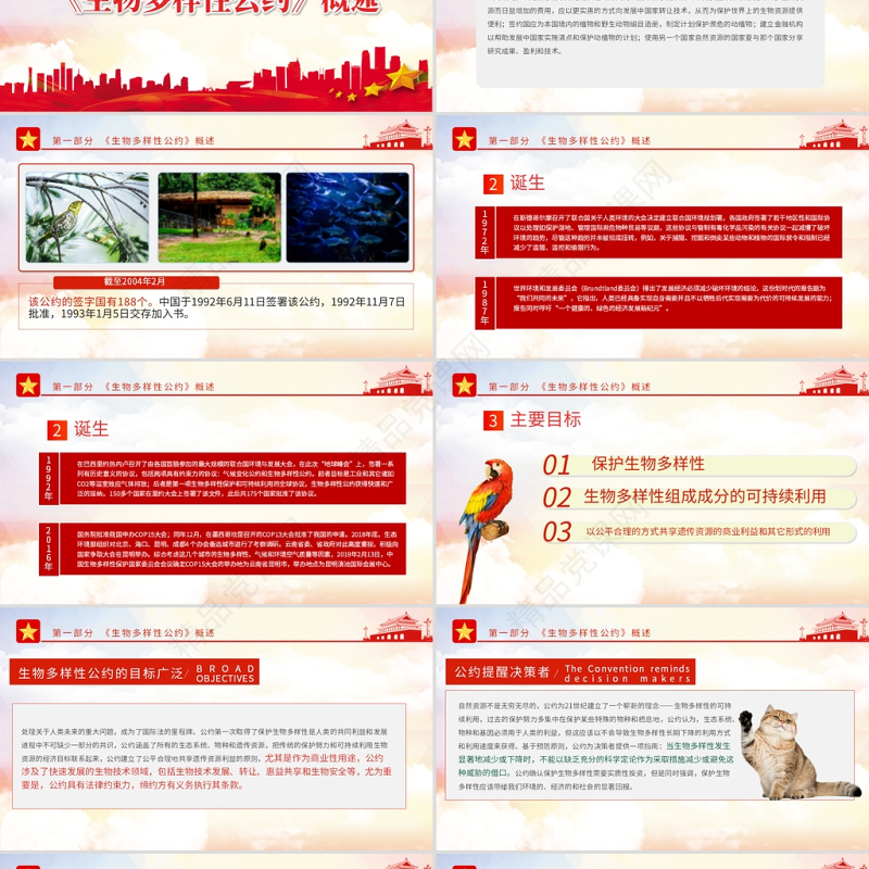 生物多样性公约缔约方大会第十五次会议PPT红色党政风共建地球生命共同体生态文明党课课件