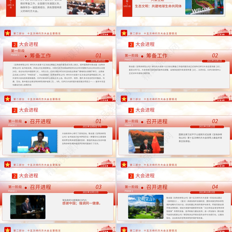 生物多样性公约缔约方大会第十五次会议PPT红色党政风共建地球生命共同体生态文明党课课件
