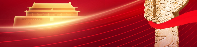 中国共产党二十大代表选举会PPT党政风简约中共中央关于党的二十大代表选举工作的通知党课课件