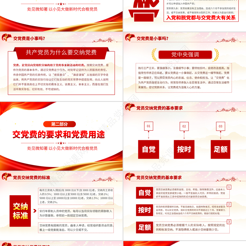 党费这件事PPT党建风以小见大做新时代合格党员专题课件模板