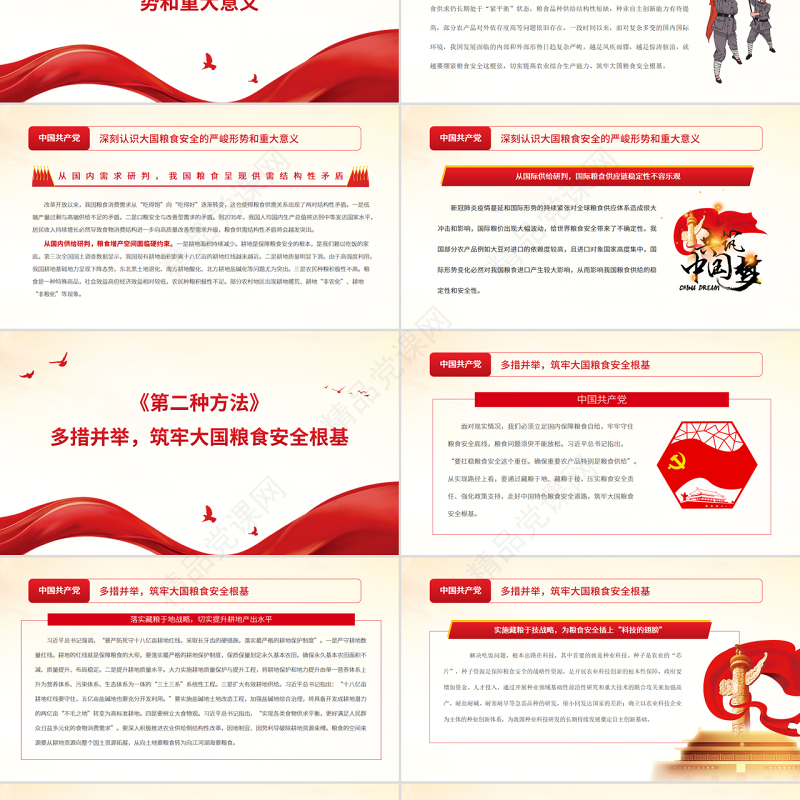 坚持走中国特色粮食安全道路筑牢大国粮食安全根基PPT党政风党员干部学习教育专题党课