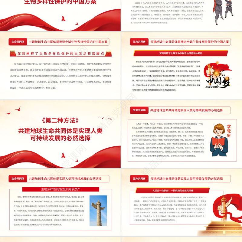 红色党政风共建地球生命共同体为全球生物多样性保护贡献中国方案PPT专题