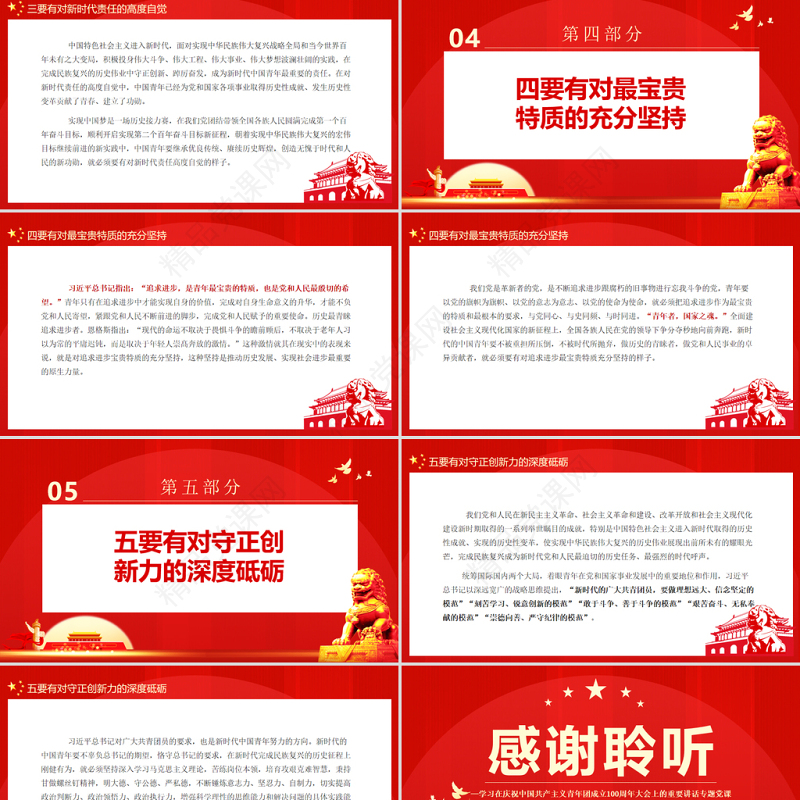 新时代中国青年要有的样子PPT学习在庆祝中国共产主义青年团成立100周年大会上的重要讲话