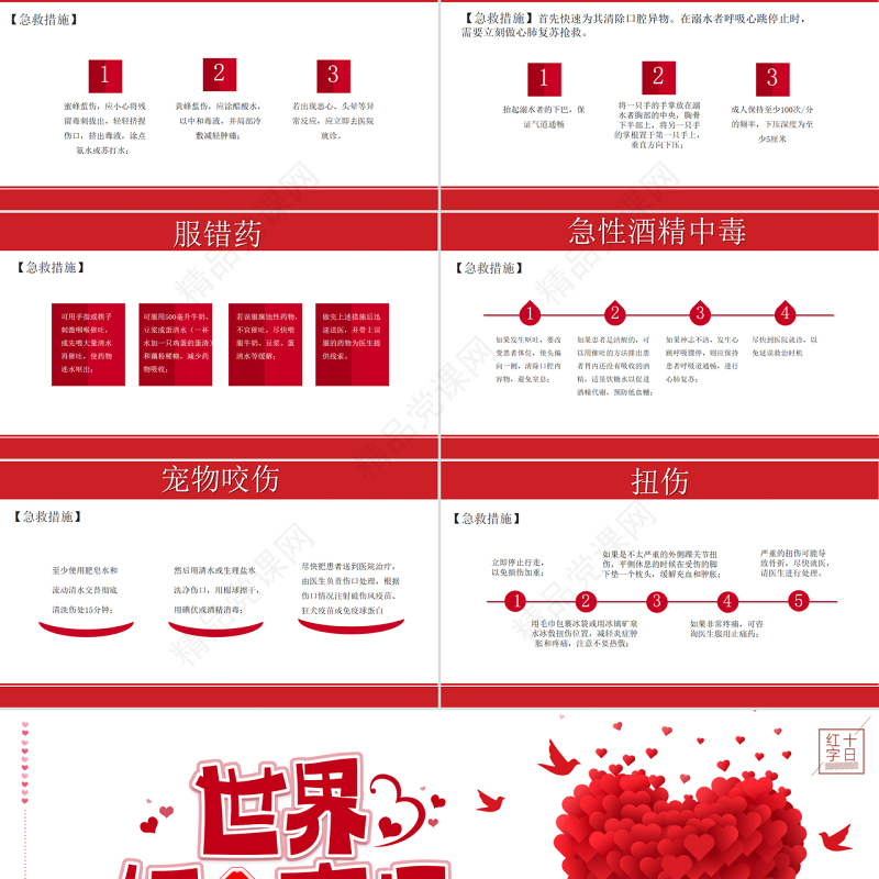 红色大气简约世界红十字日介绍PPT模板