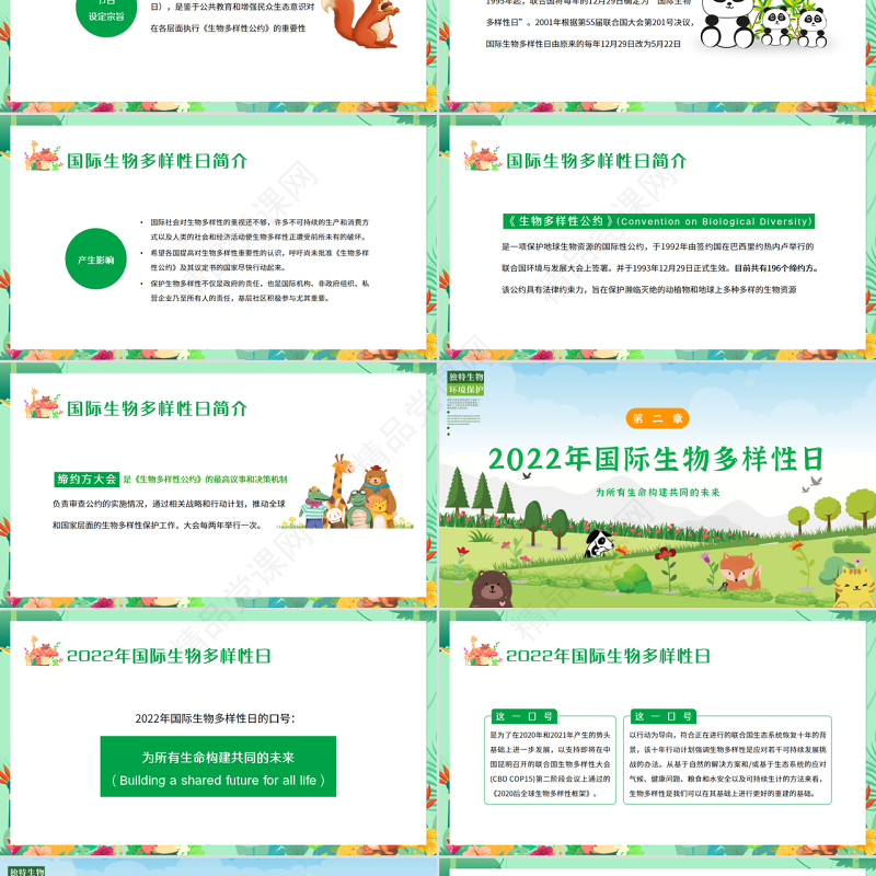 清新卡通国际生物多样日介绍PPT