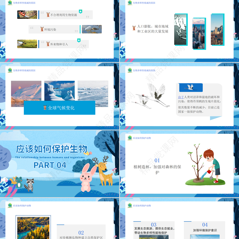蓝色国际生物多样日介绍生物多样性保护PPT