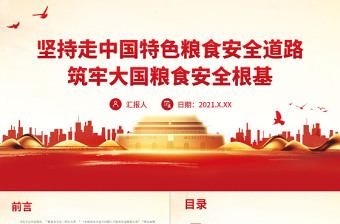 2025我眼中的中国特色大国外交ppt