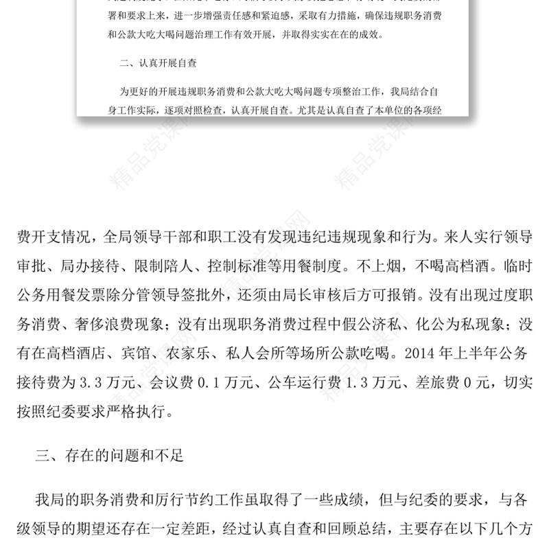 违规吃喝专项治理工作自查报告（九）