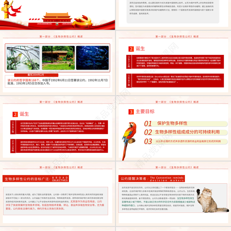 生物多样性公约缔约方大会第十五次会议PPT红色党政风共建地球生命共同体生态文明党课课件