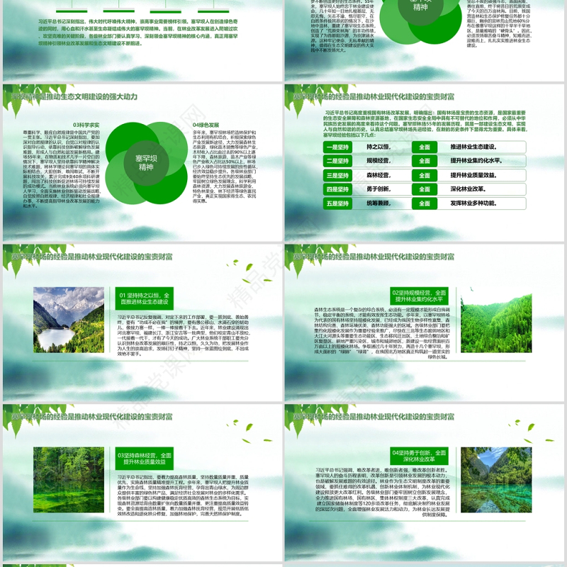 大力弘扬学习塞罕坝精神建设美丽中国PPT模板