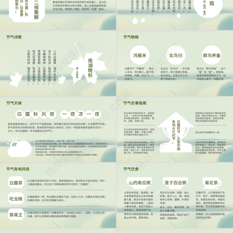 白露节气PPT清新简雅二十四节气中国传统文化主题班会课件下载
