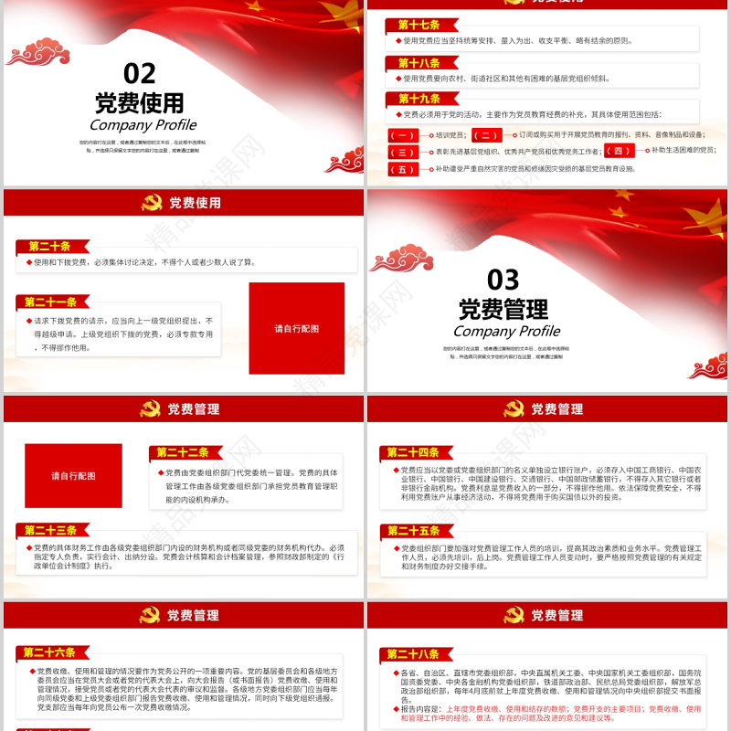 2021中国共产党党费收缴使用和管理的规定政府党政工作PPT模板