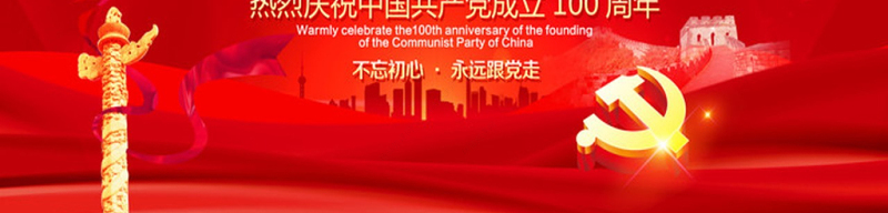 原创党政风党建建党100周年七一党课领悟党史牢记初心使命PPT模板
