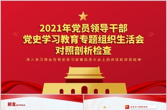 2025团的专题组织生活会ppt