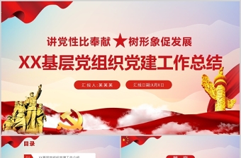 2024基层党组织党建党务工作ppt