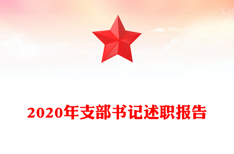 年支部书记述职报告