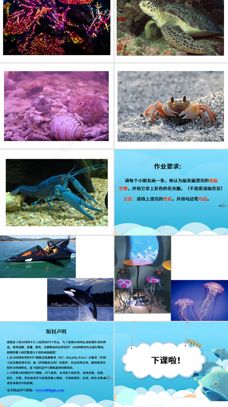 岭南版美术一下第2课海底世界多奇妙课件ppt