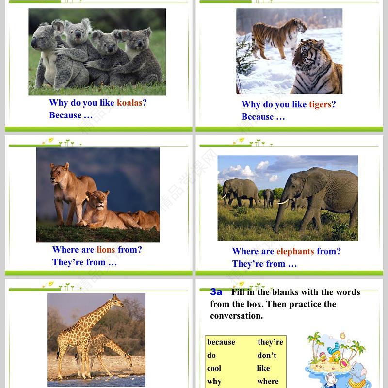  Why do you like pandas英语课件PPT模板