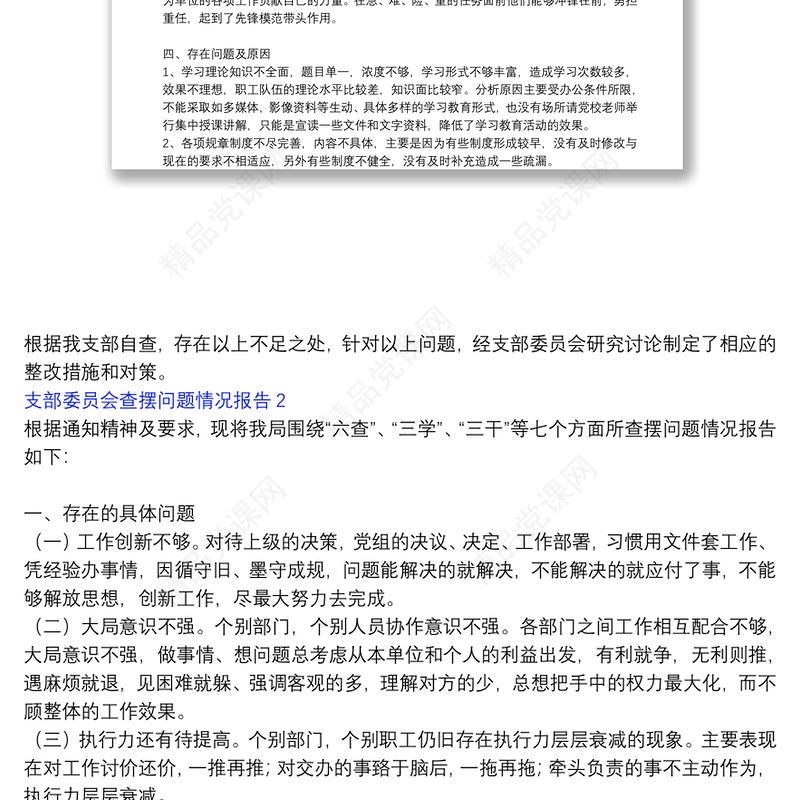 支部委员会查摆问题情况报告3篇