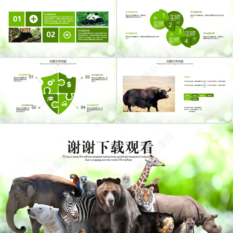 动物世界保护野生动物ppt动态模板