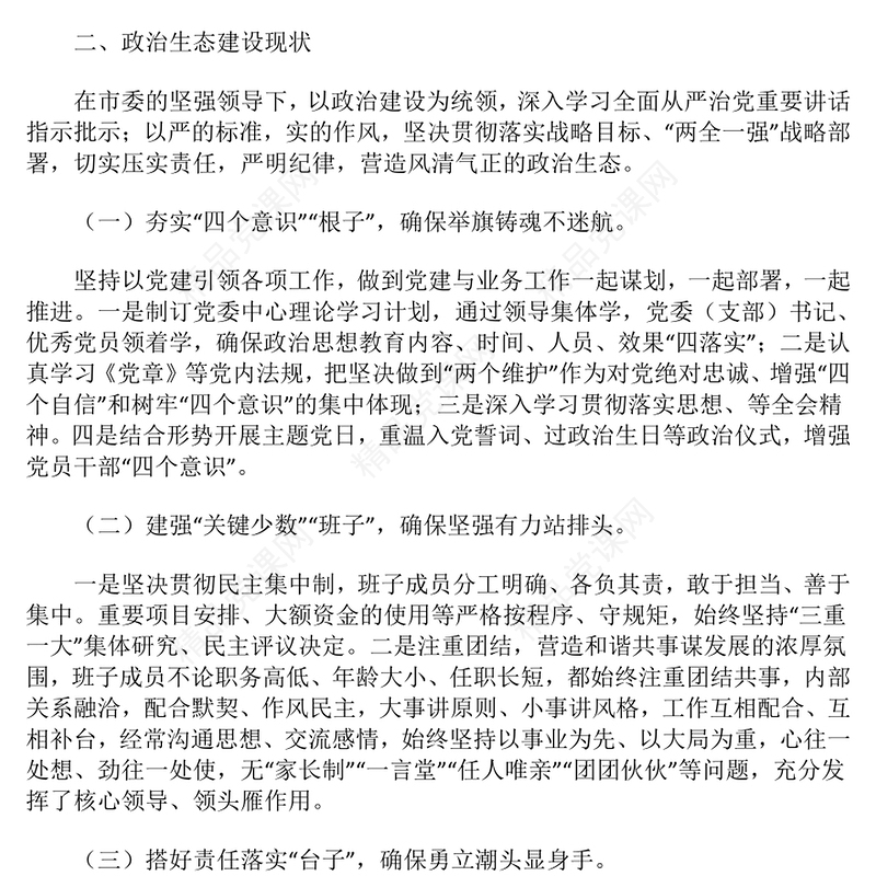 2024年政治生态研判分析报告模板