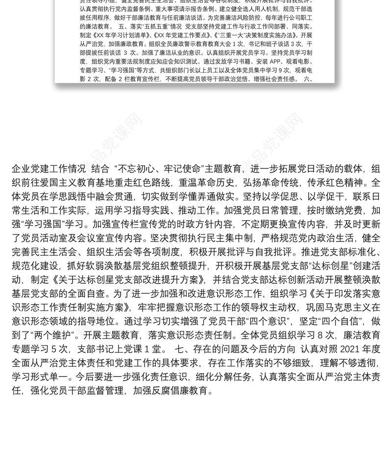 公司全面从严治党和党建工作落实情况检查自查报告