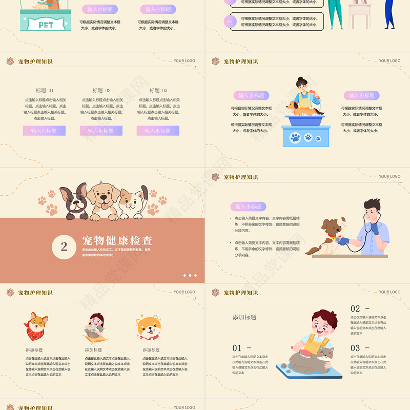 2024宠物健康管理PPT精美卡通宠物健康管理课件下载