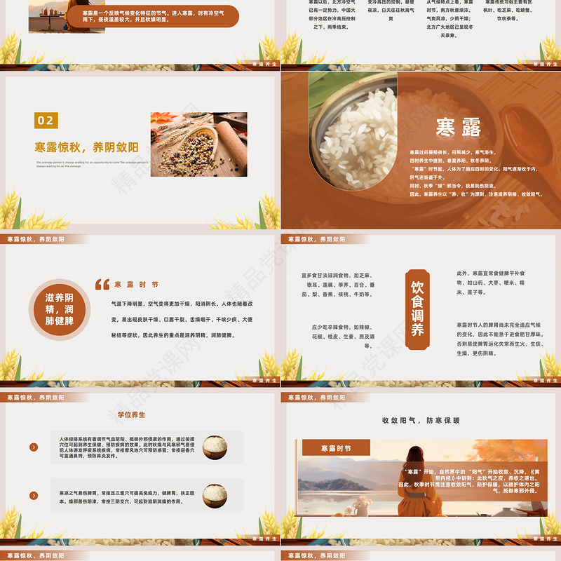 2024深秋寒露谈养生PPT简约风秋季养生课件下载