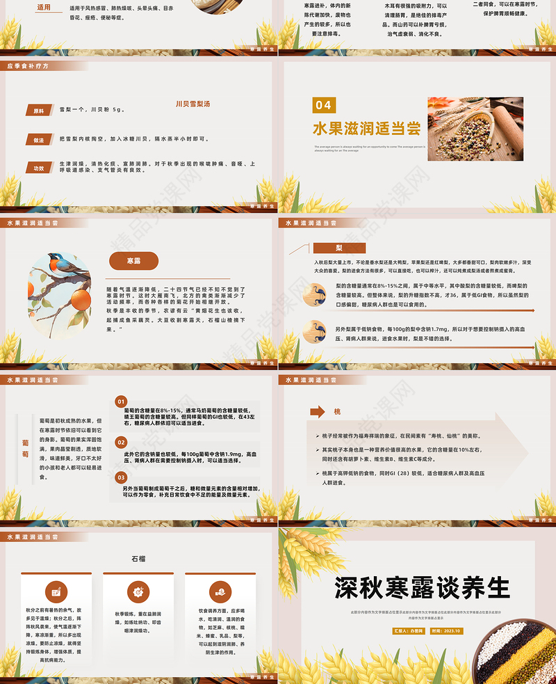 2024深秋寒露谈养生PPT简约风秋季养生课件下载