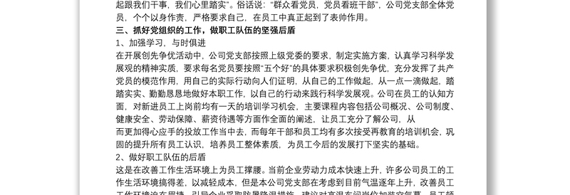 20xx年非公党支部书记抓党建述职报告例文