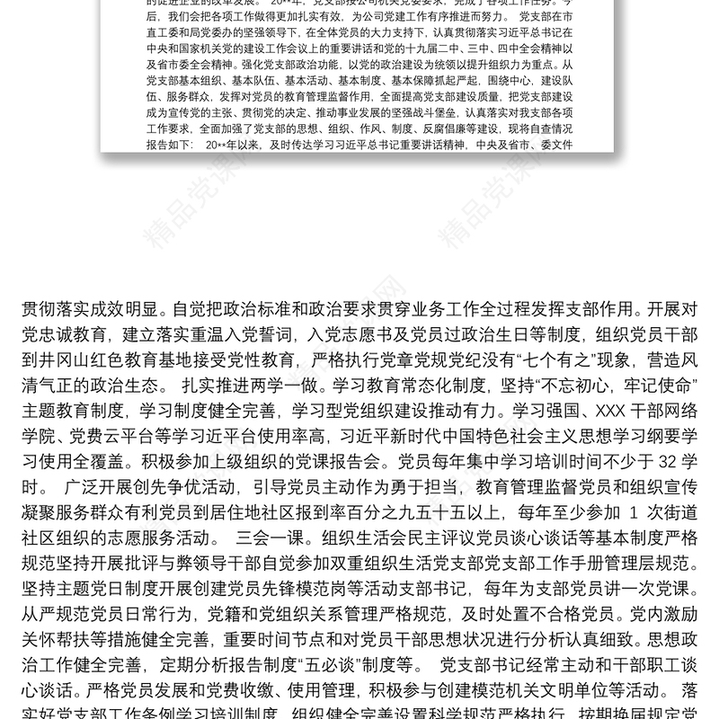 党支部党建工作情况自评报告