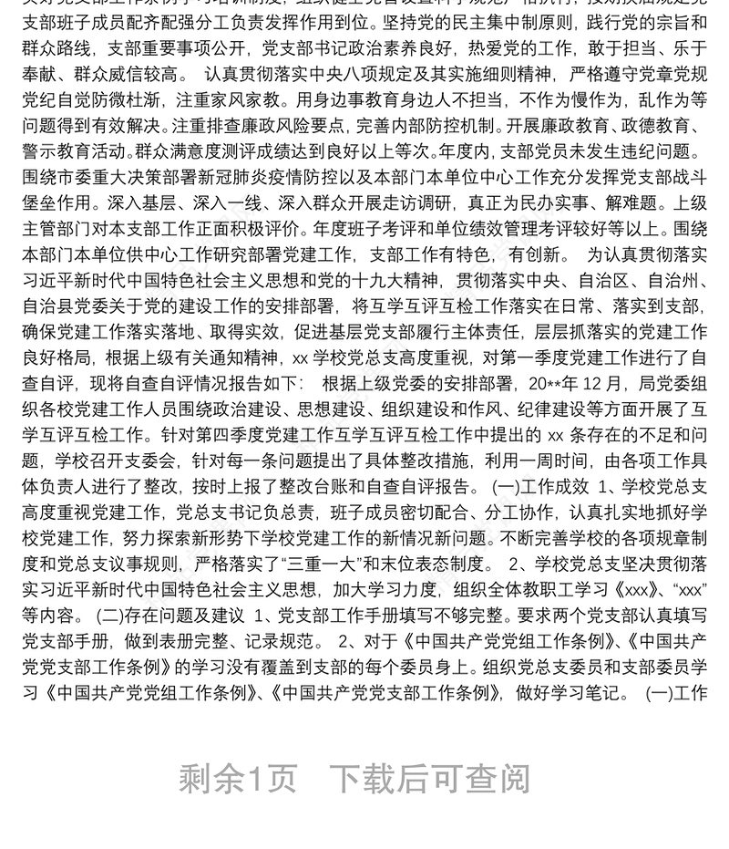 党支部党建工作情况自评报告