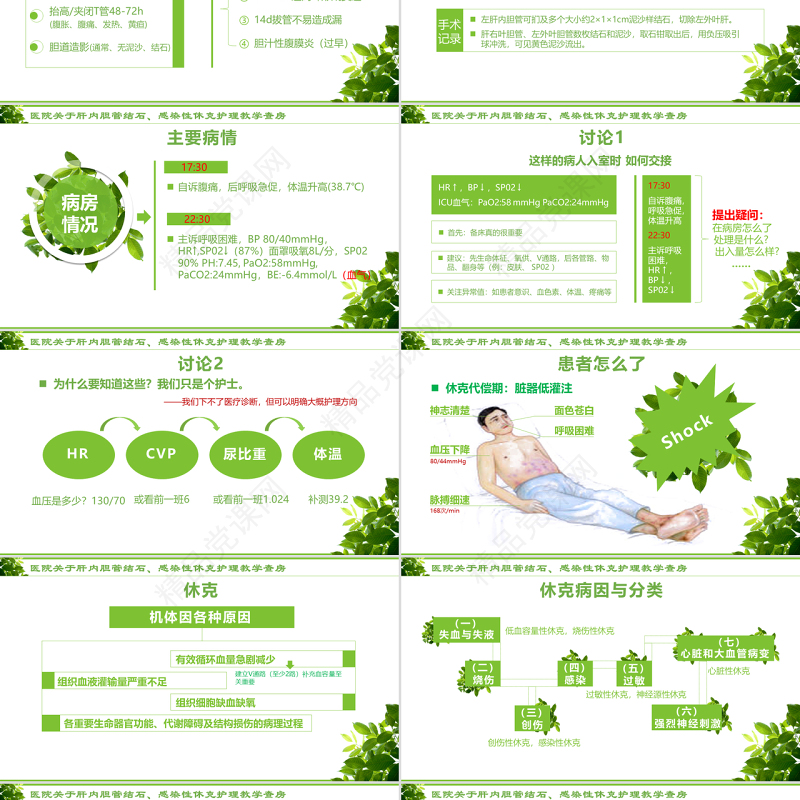 感染性休克肝胆内结石护理教学查房PPT模版