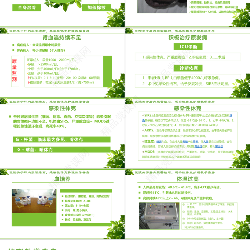 感染性休克肝胆内结石护理教学查房PPT模版