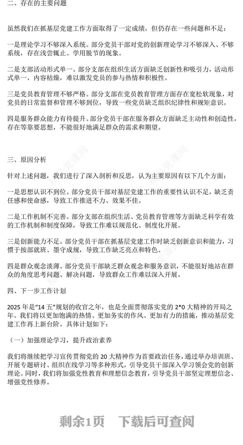 2024年基层党组织书记抓基层党建工作述职报告模板