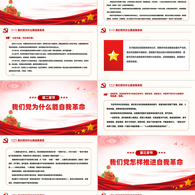 深刻阐述了党的自我革命的重要思想PPT党建风学习二十届中央纪委三次全会重要讲话课件