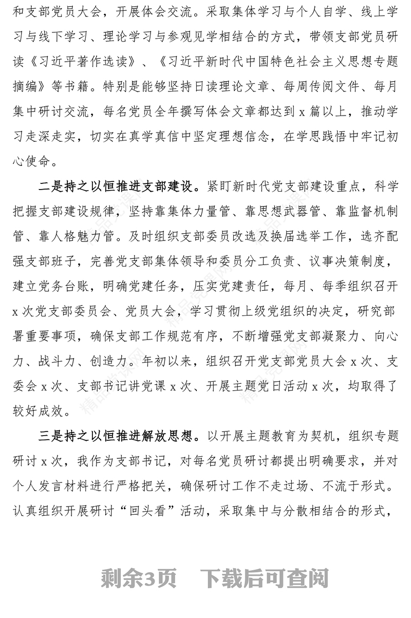 2023年党支部书记个人述职报告