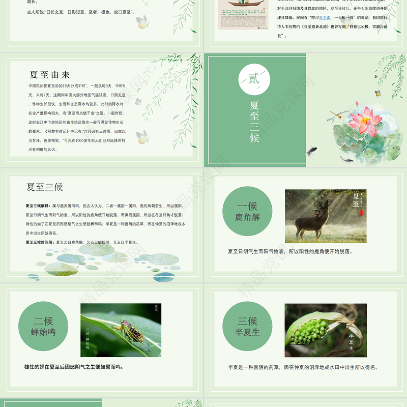 年最新传统节气之夏至PPT模板